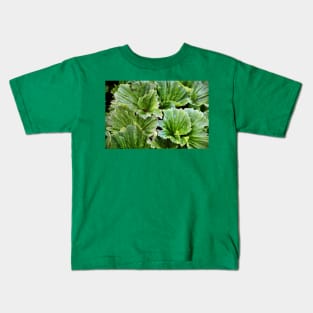 Macquarie Island Cabbage Kids T-Shirt